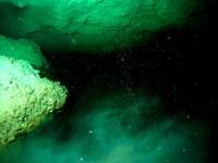 Cave Bacteria