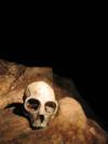 Calavera